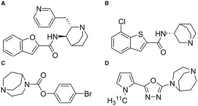 Characterizing the binding of TC-5619 and encenicline on the alpha7 nicotinic acetylcholine receptor using PET imaging in the pig